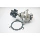 Bomba de Agua Ford Ecosport / Fiesta / KA 1.6 LTS