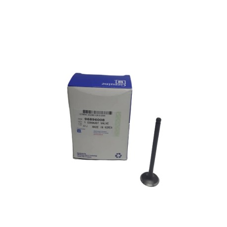 Valvula Escape de Aveo