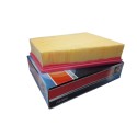 Filtro Aire Renault Megane II 2005-2008