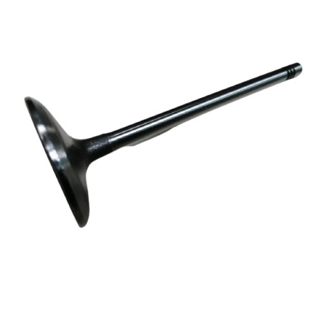 Válvula De Admisión Fiesta Power Max Move Ka Ecosport 1.6