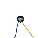 Conector Sensor Posicion de Cigueñal Clio Megane Symbol