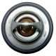 Termostato Completo Renault Symbol Clio Logan