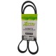 Correa 4PK1210 Yaris Sport y Belta 1.3 1.5 2006-2010