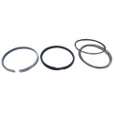 Anillos Motor Chevrolet Vitara Esteem Swif 1.6L 0.30