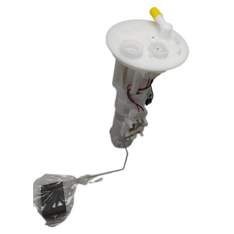 Bomba Gasolina Completa Toyota Terios Bego 2008-2014