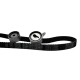 Kit Correa De Tiempo Kia Rio 1.5Lts