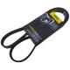 Correa Unica Fiat Palio Siena Uno Fire 1.4L (DAYCO)