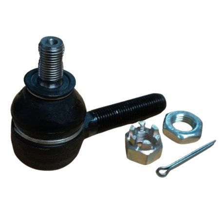 Terminal Externo Super Carry Damas Labo