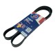 Correa Unica 6pk2085 Ford Escape V6 3.0L
