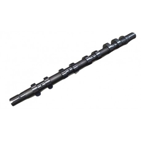 Arbol De Levas Admision Renault Clio Symbol Megane Motor K4M