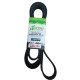 Correa 6pk2590 Ford F350 Expedition Munstang Lumina Van