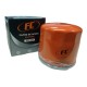 Filtro De Aceite Festiva Laser Picanto 323 B14 Turpial Nomad