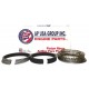Anillos Cromados Chevrolet Motor 305 0.20 / 050