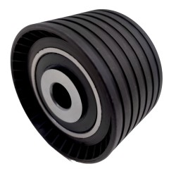 Polea Fija Correa Tiemoo Renault Megane Clio Kangoo Symbol