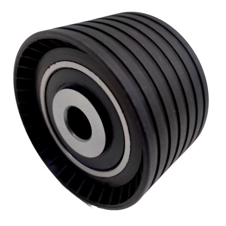 Polea Fija Correa Tiemoo Renault Megane Clio Kangoo Symbol