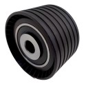 Polea Fija Tiempo Renault Megane Clio Kangoo Symbol 16v