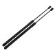 Kit Gato Amortiguador De Compuerta Dodge Caliber