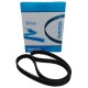 Correa Tiempo Fox Crosfox 135 Dientes DAYCO