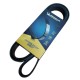 Correa Unica Peugeot 206 207 1.4/1.6 6pk1565