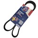 Correa Unica Chevrolet Century Celebrity 86/88 Alt 4Pk1145
