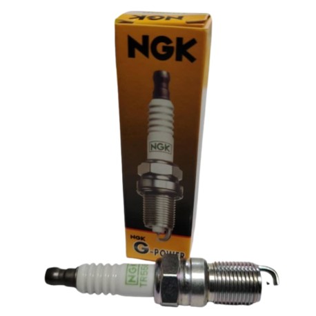 Bujia Ford Triton 4.6L / Explorer 5.4L / Focus / Fusion