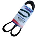 Correa 6PK1155 Jetta Passat Golf Accord 3.0 Mitsubishi 3000