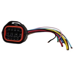 Conector Sensor Switch Pare Neutro Caja A4BF3 Accent Getz