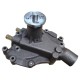 Bomba De Agua Ford LTD y Thunderbird Motor 302 / 351 Windsor