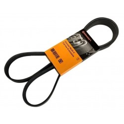 Correa Unica Chevrolet Captiva ( 6pk2400 )