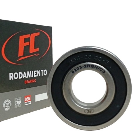 Rolinera 6203-2RSH/C3