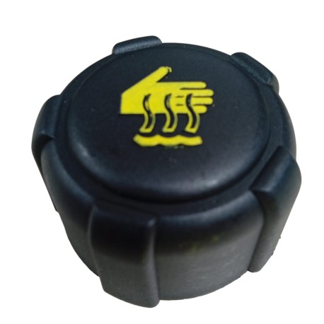 Tapa Reservorio Agua Renault CLIO/LOGAN/TWINGO/MEGANE
