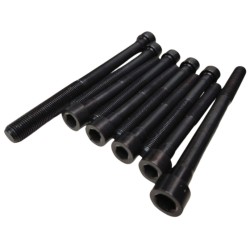 Kit Tornillos de Camara Hyundai Tucson Elantra Sportage 2.0