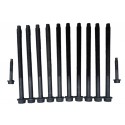 Kit Tornillos De Camara Ford Fiesta KA y Ecosport Motor 1.6